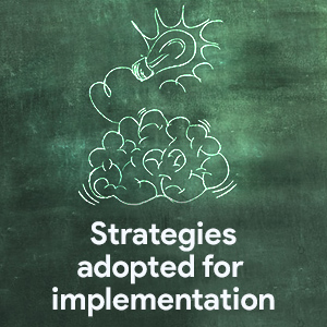 Strategies adopted for implementation
